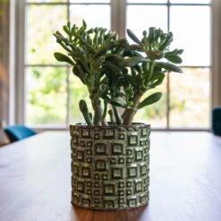 Fiene Plant Pot - Green -Hortology Shop Fiene Green 1
