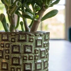 Fiene Plant Pot - Green -Hortology Shop Fiene Green 2