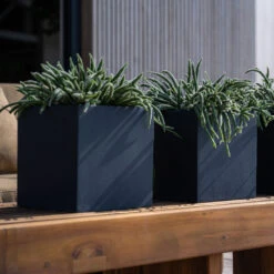 Fleur Natural Planter - Black -Hortology Shop FleurNaturalPlanter Black 5