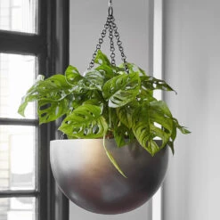 Gradient Hanging Plant Bowl - Matt Coffee -Hortology Shop Gradient Hanging Bowl Matt Coffee