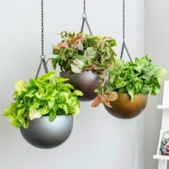 Gradient Hanging Plant Bowl - Matt Coffee -Hortology Shop Gradient Hanging Plant Bowl db68eaf3 31c5 4680 a11f c21401681759