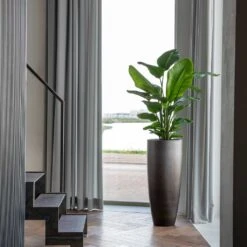 Gradient Partner Planter - Matt Grey -Hortology Shop Gradient Partner Planter Matt Grey 4