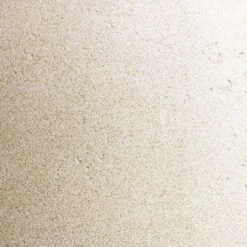 Grigio Cylinder Planter - Antique White Concrete -Hortology Shop Grigio Antique White Concrete Swatch 167065bf 1dff 489a af09 98fb55100f44