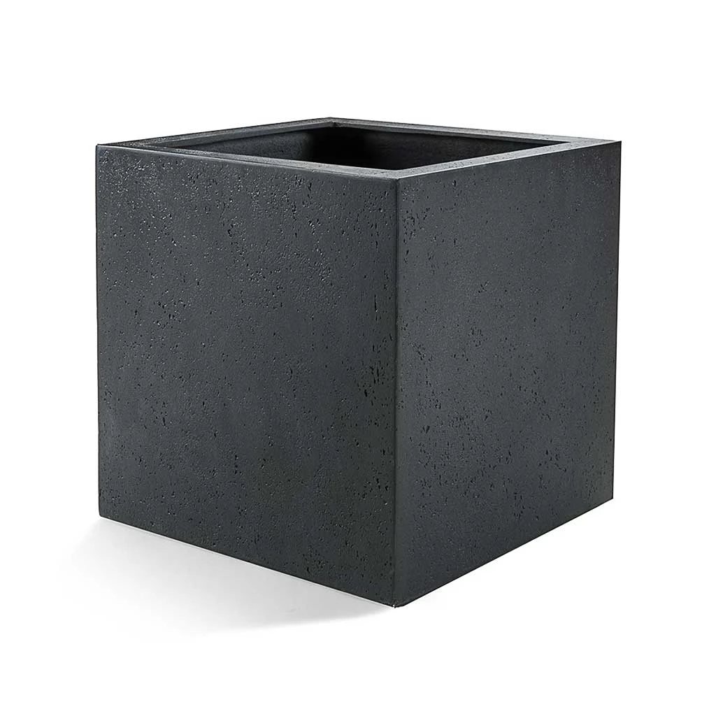 Grigio Cube Planter - Anthracite Concrete 1 Grigio Cube Planter - Anthracite Concrete