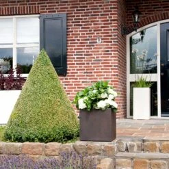 Grigio Cube Planter - Rusty Iron Concrete -Hortology Shop Grigio Cube Planter Rusty Iron Concrete LS1