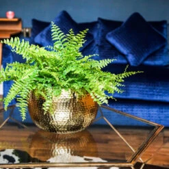 Hammered Bowl - Gold With Black -Hortology Shop Hammered Bowl Gold Lifestyle 3