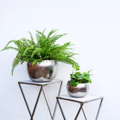 Hammered Bowl - Nickel With Black -Hortology Shop Hammered Bowl Silver Lifestyle 2