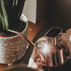 Haws Fazeley Flow Watering Can - One Pint Copper -Hortology Shop Haws Fazeley Flow One Pint Copper LS