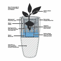 Sansevieria Zeylanica - HydroCare -Hortology Shop Hydroculture Planter Diagram a9e2a417 29ad 4fb2 81e6 c4896b4381b6