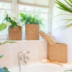 Isaac Plant Baskets - Set Of 3 - Oval - Natural -Hortology Shop Isaac Plant Baskets Set of 3 Round Natural Houseplants