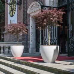 Jesslyn Refined Planter - Natural White -Hortology Shop Jesslyn Refined Planter Natural White Doorway Planters