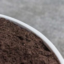 Jesslyn Refined Planter - Natural White -Hortology Shop Jesslyn Refined Planter Natural White Rim