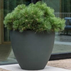 Jesslyn Refined Planter - Pine Green -Hortology Shop Jesslyn Refined Planter Pine Green Outdoor Plant Display