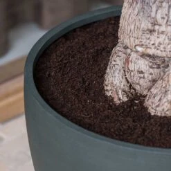 Jesslyn Refined Planter - Pine Green -Hortology Shop Jesslyn Refined Planter Pine Green Rim