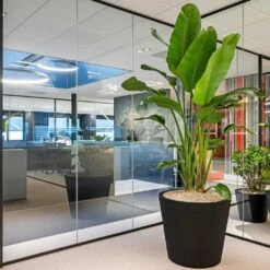 Jumbo Bucket Natural Planter - Black -Hortology Shop Jumbo Bucket Natural Planter Black 98x85cm Lifestyle 2