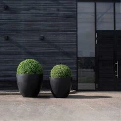 Jumbo Jesslyn Natural Planter - Black -Hortology Shop Jumbo Jesslyn Natural Planter Black Entrance Planters