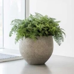 Jumbo Orb Planter - Stone Washed -Hortology Shop Jumbo Orb Planter Stone Washed Office Plants
