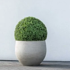 Jumbo Orb Planter - Stone Washed -Hortology Shop Jumbo Orb Planter Stone Washed Topiary Box Hedge