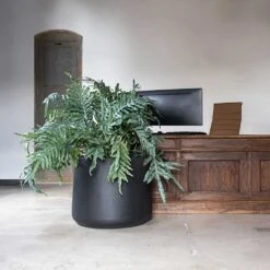 Jumbo Patt Natural Planter - Black 9 Jumbo Patt Natural Planter - Black -Hortology Shop Jumbo Patt Natural Planter Black Reception Planter
