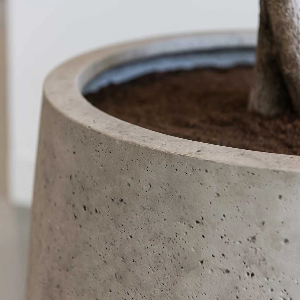 Jumbo Patt Planter - Stone Washed 5 Jumbo Patt Planter - Stone Washed - Image 5