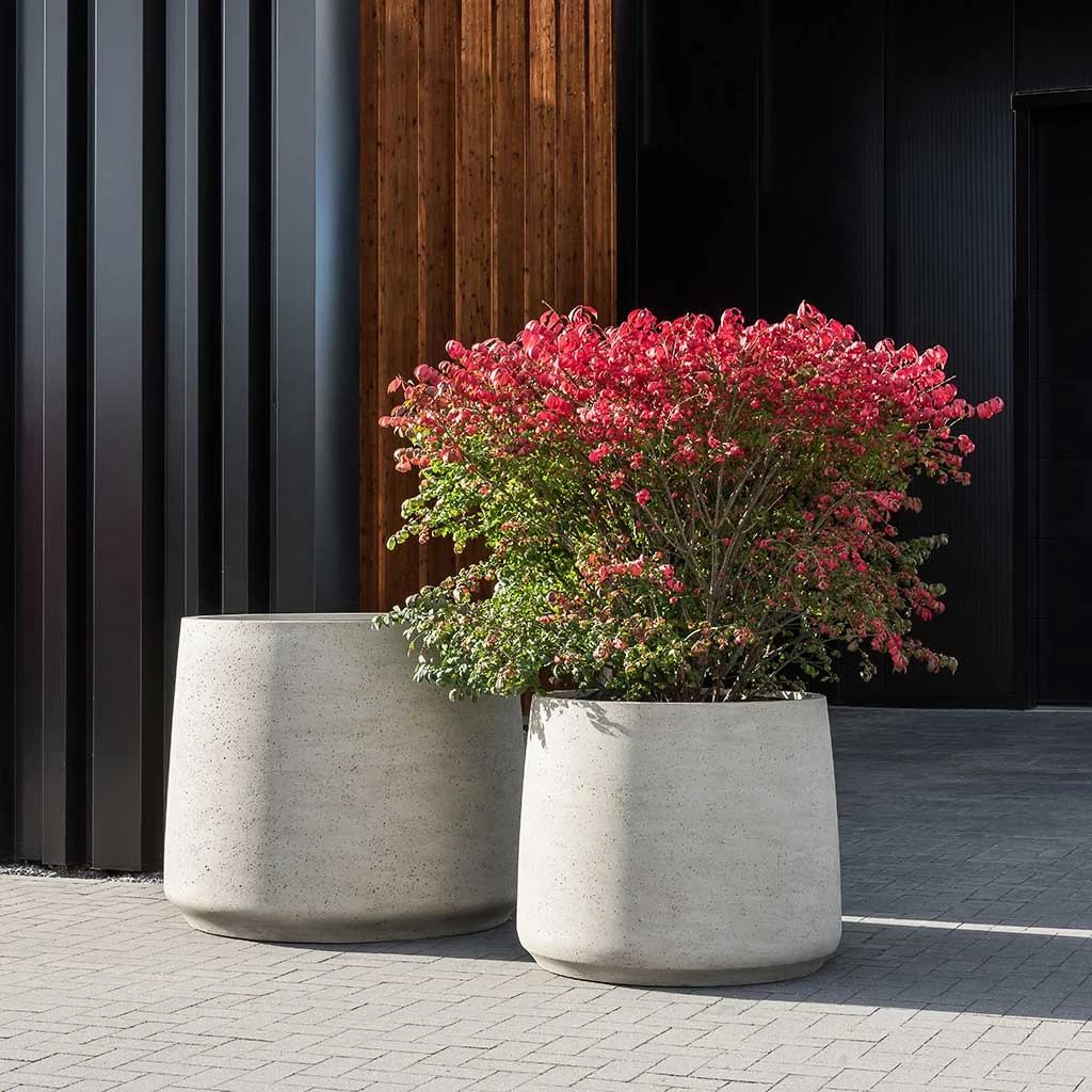 Jumbo Patt Planter - Stone Washed 4 Jumbo Patt Planter - Stone Washed - Image 4