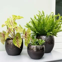 Kae Plant Pot - Mocha -Hortology Shop Kae Plant Pots Mocha Indoor Plants
