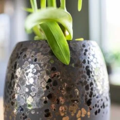 Kae Plant Vase - Mocha 6 Kae Plant Vase - Mocha -Hortology Shop Kae Plant Vase Mocha Close Up