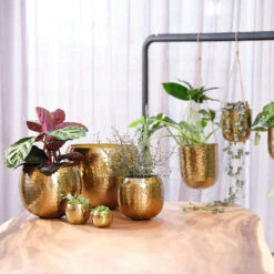 Kody Metal Plant Pots - Set Of 3 - Large - Gold -Hortology Shop Kody Metal Plant Pots Set of 2 Small Gold Lifestyle 03 bf2f59c4 923f 4f0e a93b e51472cb34a5