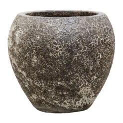 Lava Balloon Relic Planter - Black 9 Lava Balloon Relic Planter - Black -Hortology Shop Lava Balloon Relic Planter Black 54x50cm