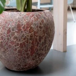 Lava Balloon Relic Planter - Pink -Hortology Shop Lava Balloon Relic Planter Pink 2