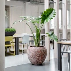 Lava Balloon Relic Planter - Pink -Hortology Shop Lava Balloon Relic Planter Pink 3