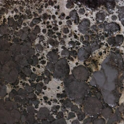 Lava Couple Straight Relic Planter - Black -Hortology Shop Lava Couple Straight Relic Planter Black 2