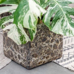 Lava Cube Relic Planter - Black -Hortology Shop Lava Cube Relic Planter Black 1