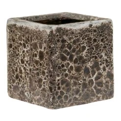 Lava Cube Relic Planter - Black -Hortology Shop Lava Cube Relic Planter Black Small