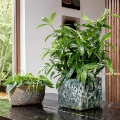 Lava Cube Relic Planter - Jade -Hortology Shop Lava Cube Relic Planter Jade Lifestyle
