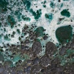 Lava Oval Relic Plant Bowl - Jade -Hortology Shop Lava Jade Colour Swatch 1