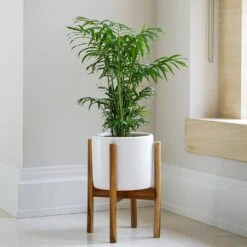 Anzio Plant Pot With Wooden Stand - Stone White 8 Anzio Plant Pot With Wooden Stand - Stone White -Hortology Shop Lifestyle Anzio Plant Pot with Wooden Stand Stone White 24x24cm