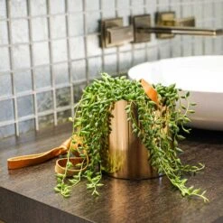 Floro Hanging Plant Pot - Copper -Hortology Shop Lifestyle Floro Hanging Plant Pot 13x13cm 2