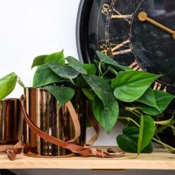 Floro Hanging Plant Pot - Copper -Hortology Shop Lifestyle Floro Hanging Plant Pot Copper 13x13cm