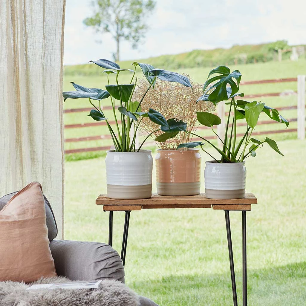 Puro Ripple Plant Pot - Peach 3 Puro Ripple Plant Pot - Peach - Image 3