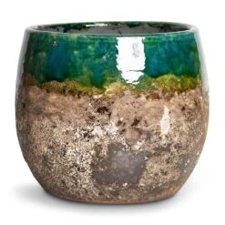 Lindy Plant Pot - Black Green 39 Lindy Plant Pot - Black Green -Hortology Shop Lindy Plant Pot Black Green 16x13cm