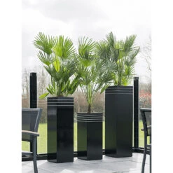 Line-Up Tall Square Planter - Matt Black -Hortology Shop Line Up Tall Square Planter Matt Black Lifestyle