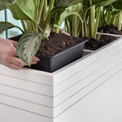 Line-Up Rectangle Planter - Matt White -Hortology Shop Line Up Tall Square Planter Matt White Lifestyle 2c471cac 7423 41f5 98b3 d25bd28306b4
