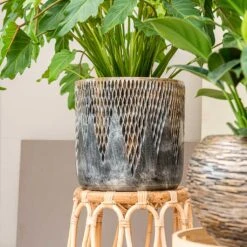 Luxe Lite Comet Cylinder Planter - Bronze 12 Luxe Lite Comet Cylinder Planter - Bronze -Hortology Shop Luxe Lite Comet Cylinder Planter Bronze Small Houseplant