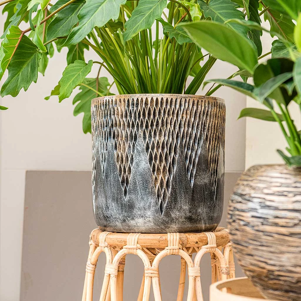 Luxe Lite Comet Cylinder Planter - Bronze 5 Luxe Lite Comet Cylinder Planter - Bronze - Image 5