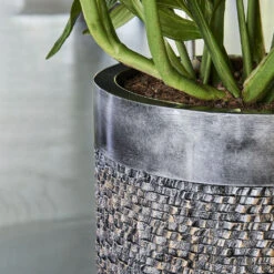 Luxe Lite Layer Cylinder Planter - Bronze -Hortology Shop Luxe Lite Layer Cylinder Planter