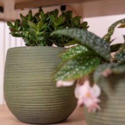 Lydia Plant Pot - Shiny Green -Hortology Shop LydiaPlantPot ShinyGreen 3