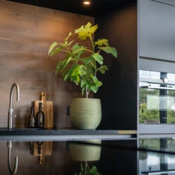 Lydia Plant Pot - Shiny Green -Hortology Shop LydiaPlantPot ShinyGreen 7