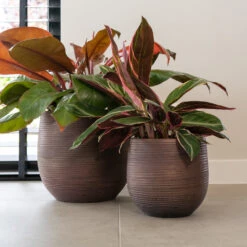 Lydia Plant Pot - Shiny Purple -Hortology Shop LydiaPlantPotShiny Purple 3