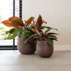 Lydia Plant Pot - Shiny Purple -Hortology Shop LydiaPlantPotShiny Purple 4